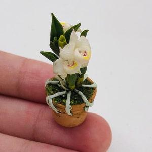 Miniature orchids clay polymer in pot, Miniature plant in pot for dollhouse.