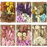 1pack Dried Flowers Resin Fillings Dry Flower Casting Filling Resins Crafts Find