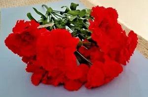Spring Bushes Red Carnation Silk Flower Bunch - NWT - 12 Red Carnations - 20"
