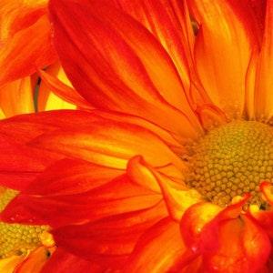 Flowers Sublimated Mouse Pad