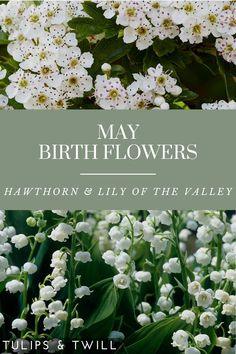 May Birth Month Flowers Flower Delivery