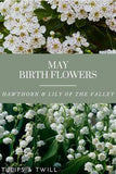 May Birth Month Flowers Flower Delivery