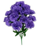 Lavender Carnation 14-3.5