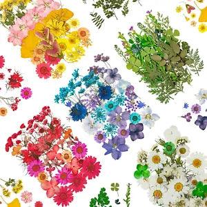 ODDAVA Dried Pressed Flowers, 170+ Pcs Mixed Dried Flowers for Resin, Bulk Natur