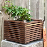 212. Salvaged Black Walnut Wood Hanging Basket Planter for Orchids, Bromeliads, Ferns, Cacti, Other Epiphytes and Succulents