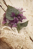 Sweet Violets-6 Flower Delivery