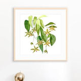 Le Orchidee Art Print-Green Orchid Painting