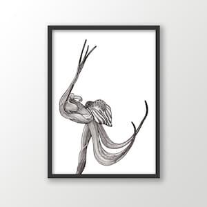 Lazy Spider Orchid art print | black and white | Australian native | botanical wall artwork | nature drawings | native flora decor | floral