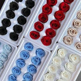 SINGLE PIECE 6 colours Medium Preserved Rose Head | 3-4cm | Dried & Everlasting | Bouquet | Wedding | Cake toppings | Rose