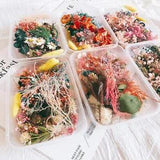 1 Box Mixed Dried Flower DIY Candle Soap Epoxy Jewelry Making Filler Craft Decor
