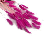 30 Pieces 12-15" Hot Pink Bunny Tail Preserved Dried Botanical Grass Bouquet