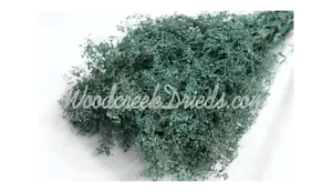 PRESERVED BLUE BABYS BREATH STARDUST DRIED FLORAL FLOWER FOLIAGE FILLER