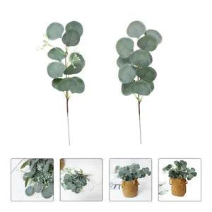 10PCS Dried Flowers Picks Eucalyptus Stems Eucalyptus Dried Flower