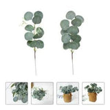 10PCS Dried Flowers Picks Eucalyptus Stems Eucalyptus Dried Flower