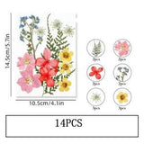 14PCS Real Pressed Dry Flower collection, yellow Flower with leaf stem FSS506