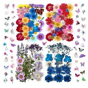 152 Pcs Dried Pressed Flowers for Resin and Nails