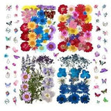 152 Pcs Dried Pressed Flowers for Resin and Nails