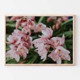 Blush Pink Orchids Wall Art, Light Pink Floral Wall Decor, Feminine Botanical, Photography Print, Master Bedroom Floral, Pastel Orchid Print