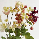 Artificial Hanging Bell Butterfly Flower with Foliage, Quality Iris Japonica Stem, Living Room Floral Decor, Wedding Party Plant Arrangement