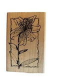 Vintage 1995 LILY Flower Hampton Art Rubber Stamp Wood Back