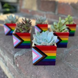 Progress Pride Flag Planter