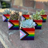 Progress Pride Flag Planter