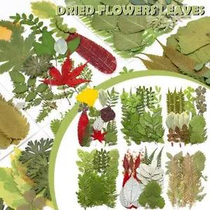 1 Bag Pressed Dried Flowers Leaves Filling For Epoxy Making Resin Jewelry''