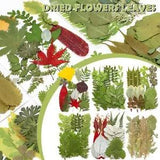 1 Bag Pressed Dried Flowers Leaves Filling For Epoxy Making Resin Jewelry''
