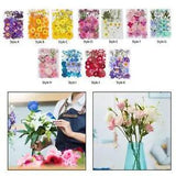 Dried Pressed Flowers Decors Real Flower for Resin Diy Bookmark Scrapbooking
