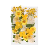 Product Dried Flower Embossing Specimen Floral Nail Sticker
