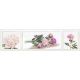 Cross-stitch kit  Peonies 433A  Thea Gouverneur  Aida