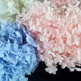 5g/lot Hydrangea Real Dried Flower Dry Plants For Aromatherapy Candle Epoxy Pend
