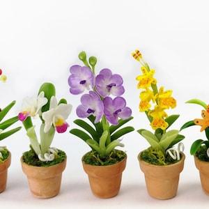 Set of 5 Dollhouse Miniature Accessories Colorful Orchids in Terracotta Garden Ornament Tree Flower Plant 1:12 scale