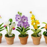 Set of 5 Dollhouse Miniature Accessories Colorful Orchids in Terracotta Garden Ornament Tree Flower Plant 1:12 scale