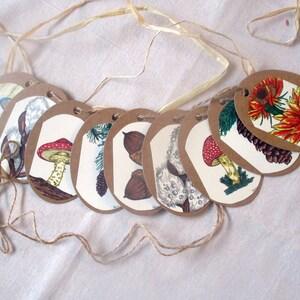 Oval Nature banner/gift tags