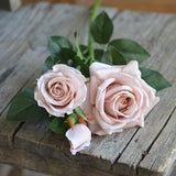 3 Heads Dusty Pink Rose Quartz Real Touch Garden Roses, Warm Beige, DIY Florals Supply | Wedding/Home/Kitchen Decoration | Gift, DIY Bouquet