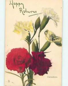 Divided-Back Tuck BEAUTIFUL CARNATION FLOWERS - HAPPY RETURNS 60.000 cards o9009