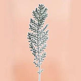 12PCS Real Pressed Dry Leaves, Floral Supply for art craft FSS14
