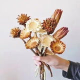 Natural Dried Flowers Africa Feather Daisy Snow Lotus Sun Flower Arrangements