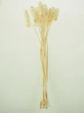 Dried Spiral Branch Twig Straw Hay Vase Filler Wedding Special Events Home Decor