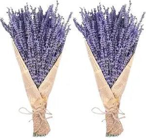 Dried Lavender Flowers 280-300 Stems 16??? Home Weeding Decoration Pruple 2 Pcs