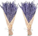 Dried Lavender Flowers 280-300 Stems 16??? Home Weeding Decoration Pruple 2 Pcs