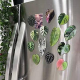 Rare Plant Magnet - 1 pc - Plant Gifts - Plant Parent - Monstera Fridge Magnets - Gloriosum - Anthurium - Houseplant Magnets