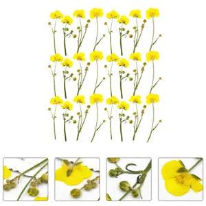 24pcs Pressed Flowers for Resin Craft Dry Leaves Jewelry Making Dried Flowers