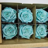 Pack of 6 LARGE Ecuadorian Preserved Rose Heads, Forever Roses,  Real Long-lasting Roses for DIY Rose Boxes, Bouquets, Flower Arrangements