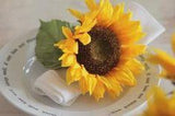 How to Preserve Sunflowers | ehow.com Flower Delivery