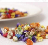 FLOWERS FOR DIY RESIN CANDLE JEWERLY AND MOLDS  and ( Mom & Bracelet) 5 Pckgs