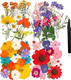 Resin Flowers for Resin Mold, Real Daisy Dried Flower Leaves Natural with Tweeze