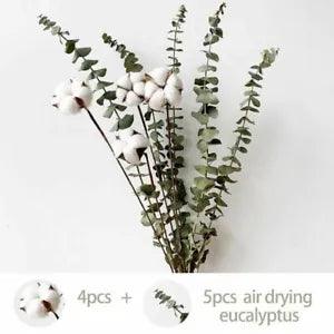 Natural Dried Flowers Rabbit Tail pampas grass Lagurus Ovatus Fresh Eucalyptus
