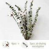 Natural Dried Flowers Rabbit Tail pampas grass Lagurus Ovatus Fresh Eucalyptus
